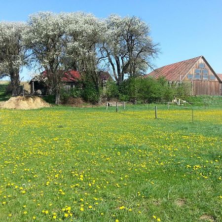 A-Sissy-Hof Villa Bischofstetten Екстериор снимка
